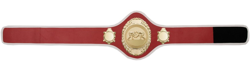 GRAPPLING CHAMPIONSHIP BELT-PRO286/G/GRAPPG-10+ COLOURS